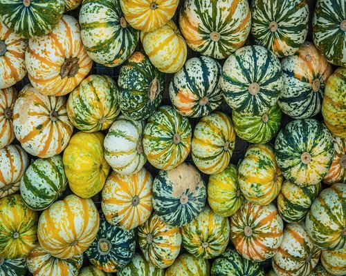 A variety of fresh colorful vegetables displayed in a local market in Chile